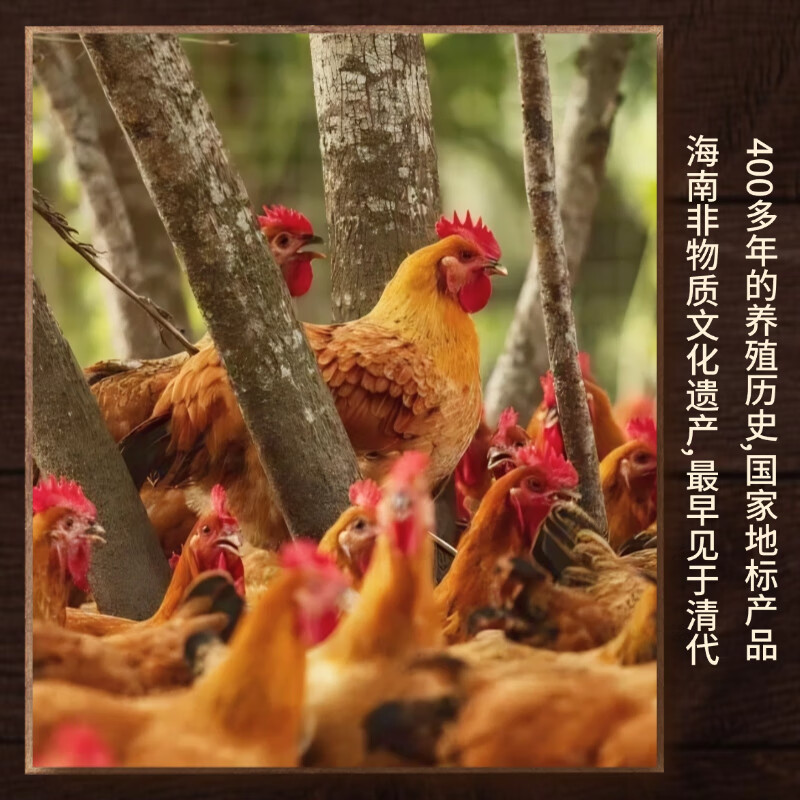 椰顺七夕礼物文昌鸡白切鸡盐焗鸡正宗180天椰林散养海南特产加热即食 180天盐焗鸡*2只