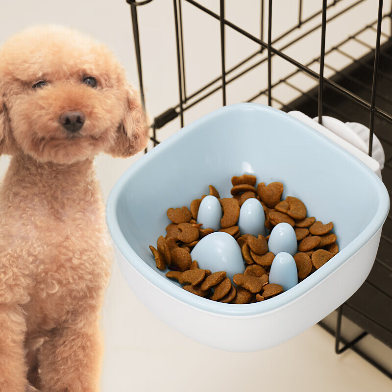 �����ع��빷è��è�������������˫��С��è����ˮ��̩�Ϸ� ������ʳ����