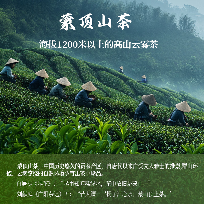 沁心翠茶叶绿茶正宗四川雅安蒙顶山毛峰2025新茶罐装 100g*2(两罐装)