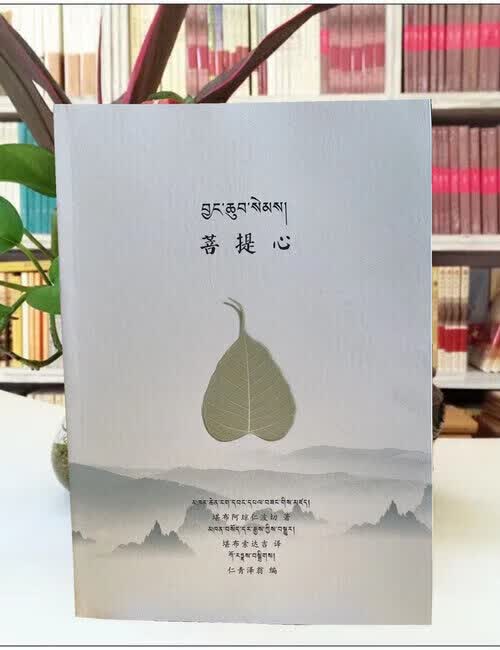 苦提心 堪布阿琼仁波切 著 索达吉堪布译16开本封面带花纹