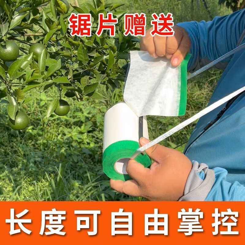 柑橘防晒贴牛皮纸太阳果贴纸水果防晒纸柑桔防晒贴果子防雨遮阳超 40