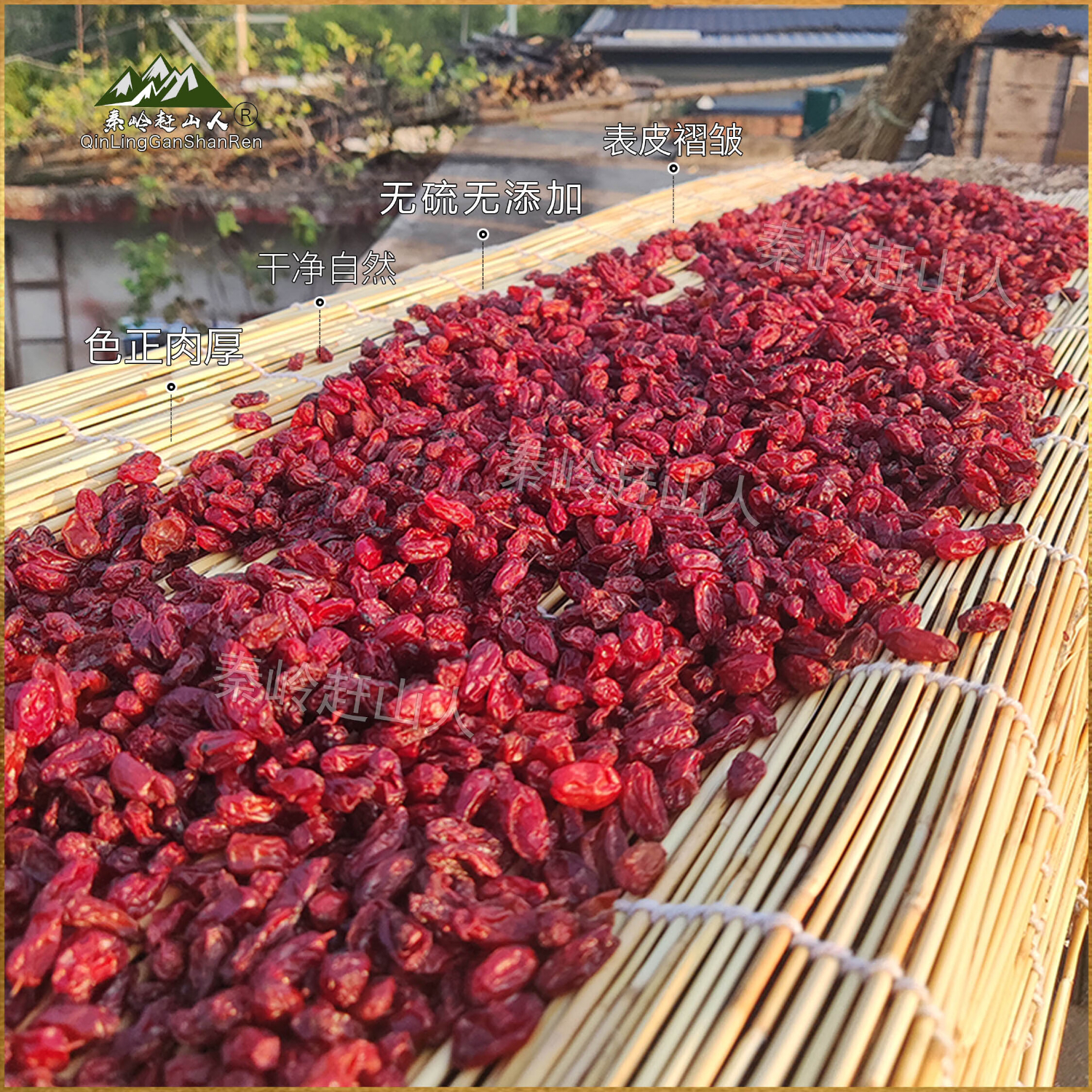 秦岭赶山人高品山茱萸肉熬夜养生茶野摘传统去核地道西峡直发泡水煮茶泡酒 头货山茱萸250g/罐+熟地黄500g/罐