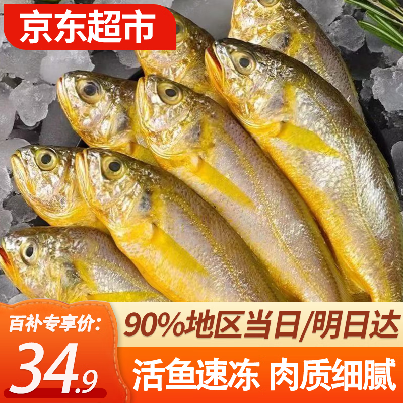 ڲ̰ɽҰС䶳ʻտҹʳĺ кš12-15/ﾻ234.9Ԫ