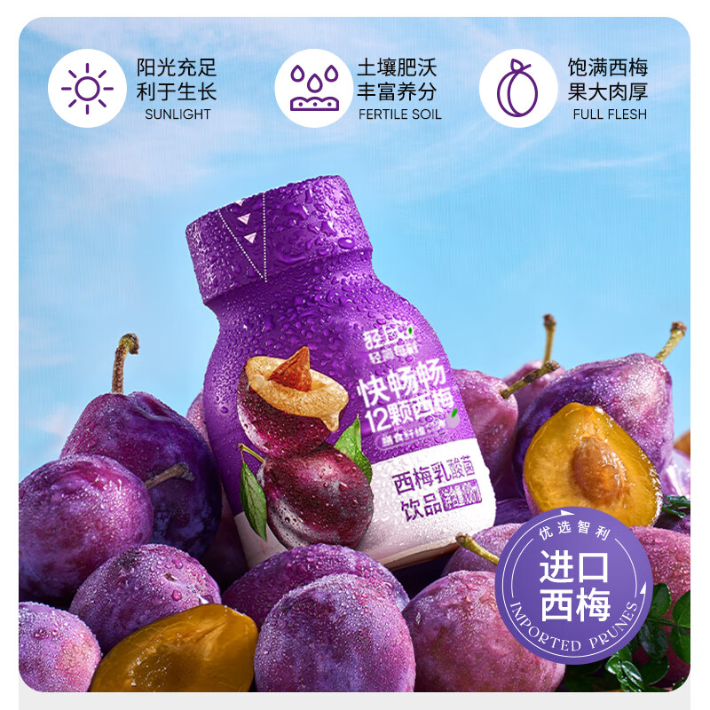 椰泰【年货礼盒】椰泰轻上常温发酵酸奶饮品果味西梅味0反式脂肪酸 西梅乳酸菌饮品138ml*10瓶