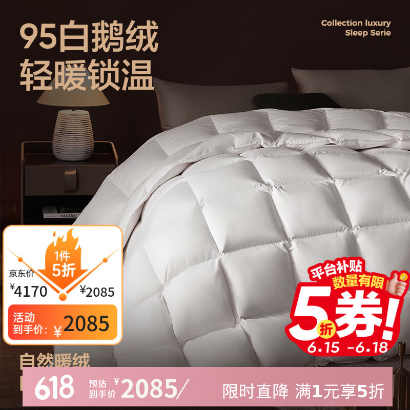 網(wǎng)易嚴選中國大鵝 A類95%白鵝絨羽絨被子 鵝絨被加厚冬被 1000g 220*240cm