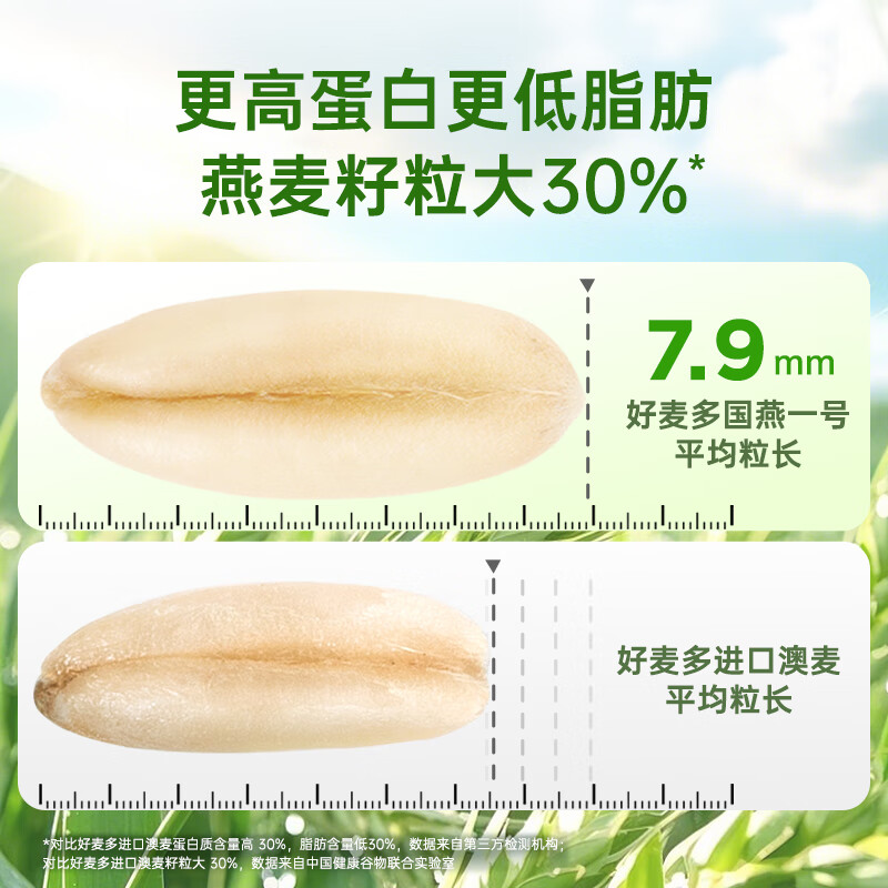 HONlife好麦多有机即食八珍燕麦片高纤维无0添加蔗糖冲饮代餐营养早餐 有机纯燕麦片 300g （高蛋白）