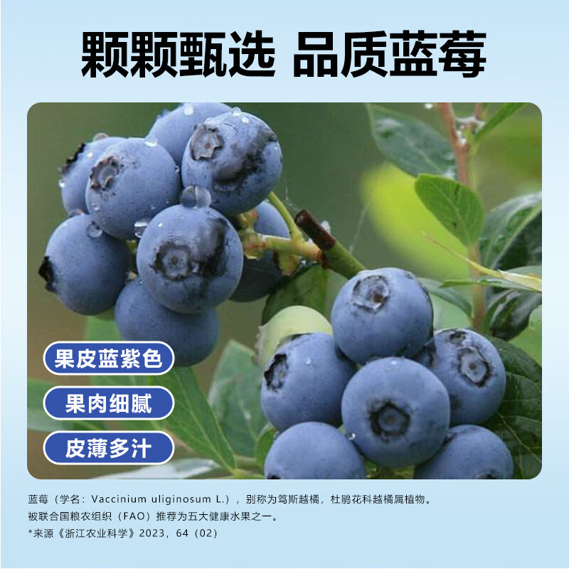 苗之灵蓝莓汁蓝莓果蔬轻饮原浆鲜榨果汁饮料夏日解暑 238ml*12瓶礼盒装 【蓝莓鲜榨】238ml*6瓶