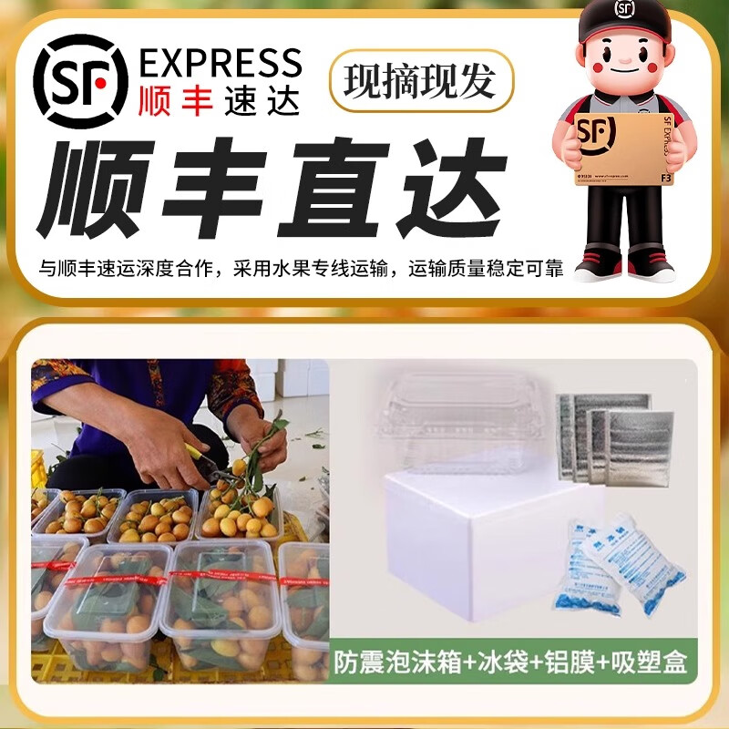 商品图片 5
