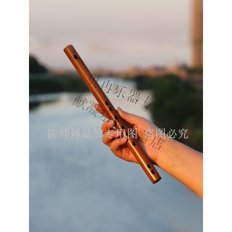 陳師傅迷你短笛無(wú)膜孔學(xué)生入門竹笛小笛子隨身初學(xué)者兒童成人樂(lè)器女 短笛A調(diào)29CM(有膜孔)