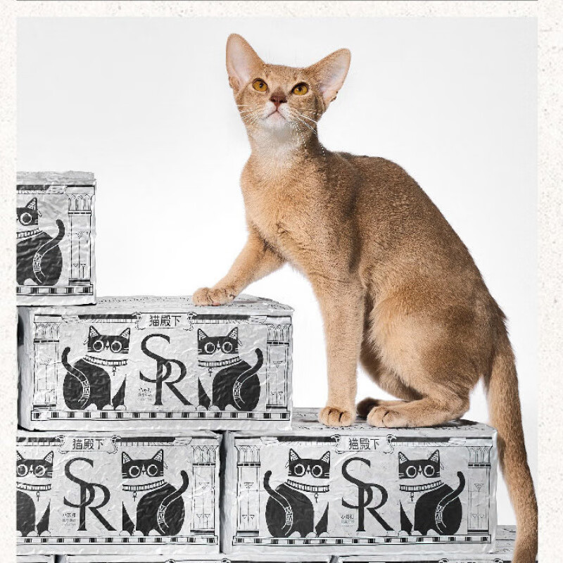 小殼（CATURE）貓殿下貓砂豆腐膨潤土混合貓砂貓咪專用高效除味除臭快速結(jié)團 小蘇打-【除臭貓砂】 貓砂(控臭)4袋/共20斤