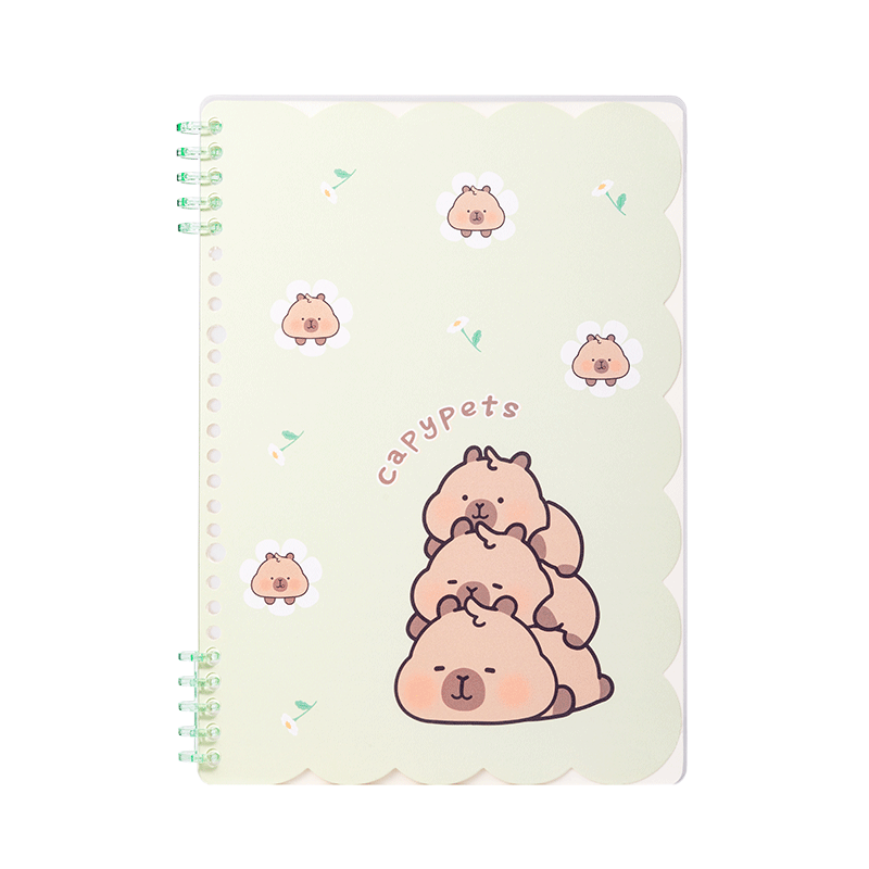 ������deli����Ƥ�����ɿ��ϻ�ҳ��ѧ���ʼǱ����ճ����±��ռǱ�B5/50��BL213��ɫ�� 5.9Ԫ