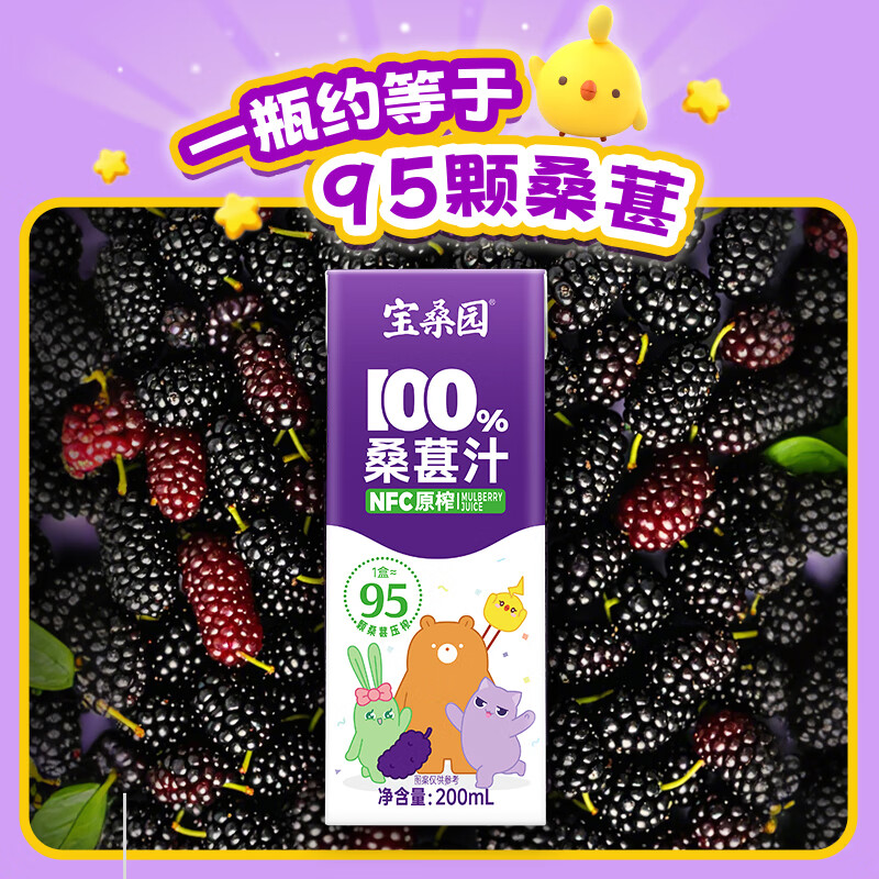 宝桑园100%NFC桑葚汁200ml*12盒 果蔬汁健康饮料 200ml*12盒