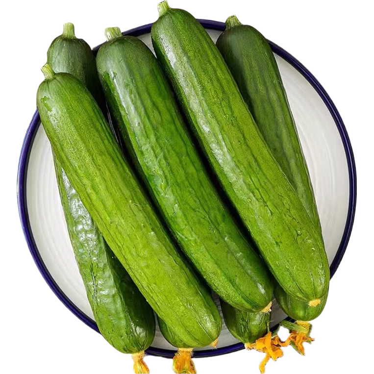 京鲜生 山东水果黄瓜 净重3斤 单果70g+ 青瓜荷兰瓜 源头直发