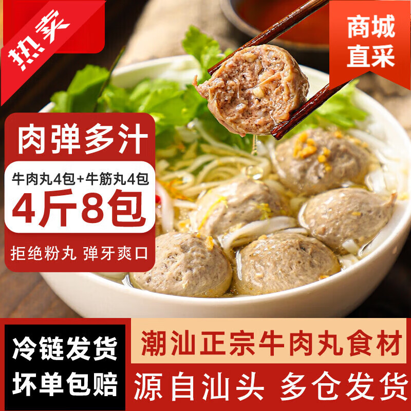 潮谦-潮汕牛肉丸正宗手打特产牛筋丸子烧烤火锅麻辣烫食材 250g*4包牛肉丸 250g