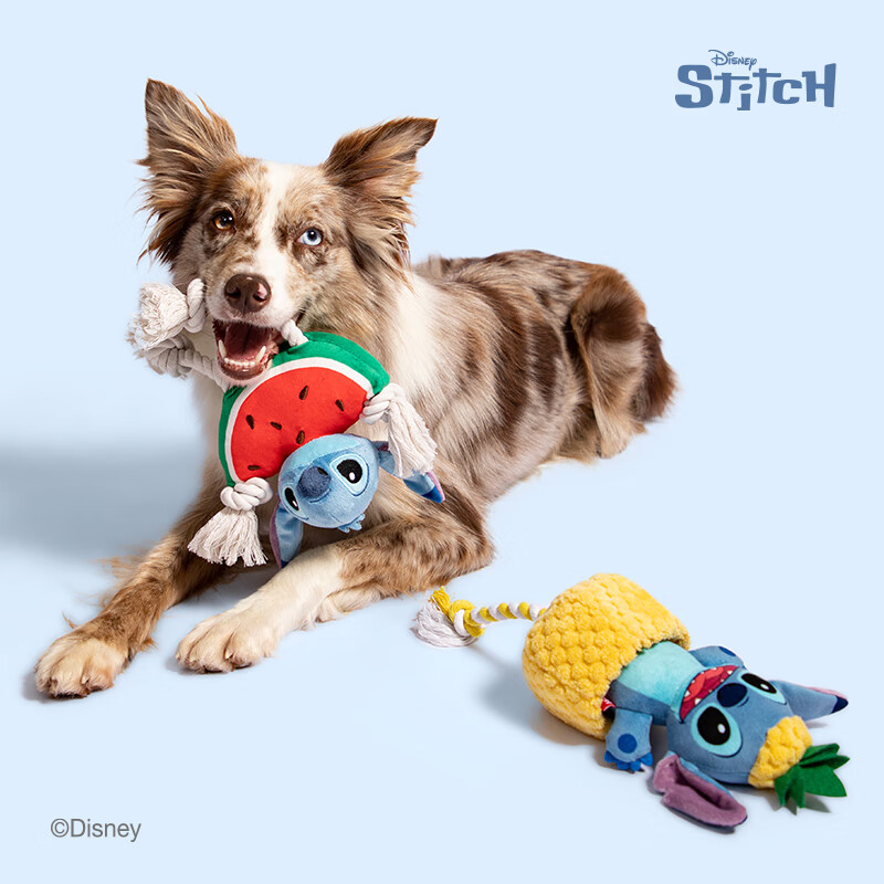 贵为（GiGwi）狗狗玩具耐咬史迪奇发声小狗狗玩具自嗨解闷幼犬磨牙宠物用品 元气菠菠史迪奇