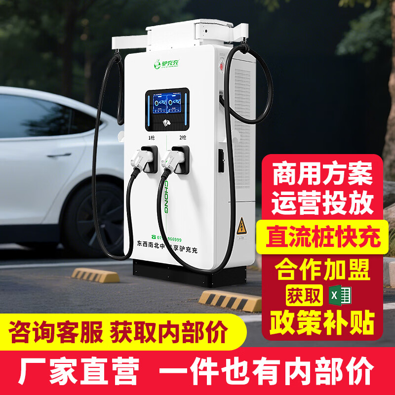 驴充充新能源电动汽车充电桩快充家用商用直流380V充电站 80kW一体式双枪2ZD80-3