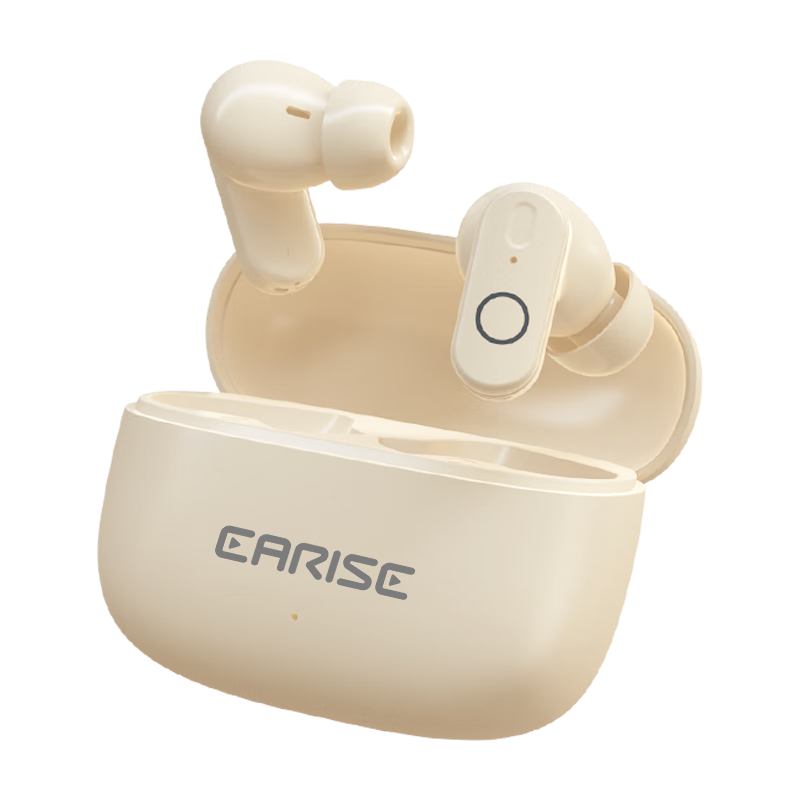 EARISE FD190 