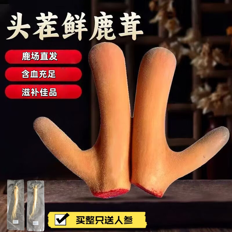 CLCEY双阳鹿场新鲜现割头茬二杠梅花鹿鹿茸整根鹿茸泡酒含血高货礼盒装 二杠整枝600g( 礼盒装可备注连刀切) 1支*1盒