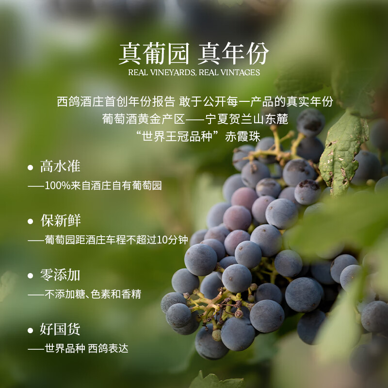西鸽酒庄宁夏贺兰山葡萄酒干红 宋彩釉蓝赤霞珠国产红酒 口粮酒礼物 整箱750ml*6
