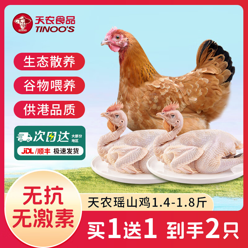 飞来峡清远瑶山鸡供港无抗生鲜整鸡肉山林散养农家土鸡母鸡走地鸡 瑶山鸡1.4斤-1.8斤【买1赠1】 京东折扣/优惠券
