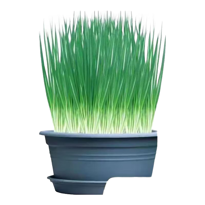 �����ļ�С������� �������� �����ͺ� ԭװ��ѡ1��Լ800�� 1.99Ԫ