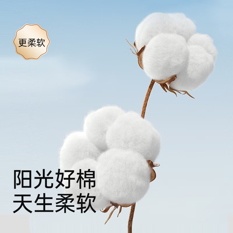 云霓碧芭宝贝安心裤安睡裤透气裤型卫生巾夜安裤抑菌防漏产妇姨妈裤 M 16条 80-110斤
