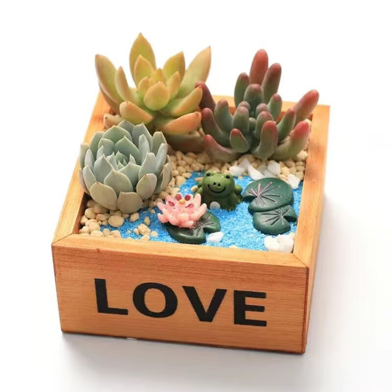 �����ȶ���ֲ��������Ժ��躬������diyƴ�̻�������ֲ��������ֲ���� ��ɫloveľ�У����ܣ� ����