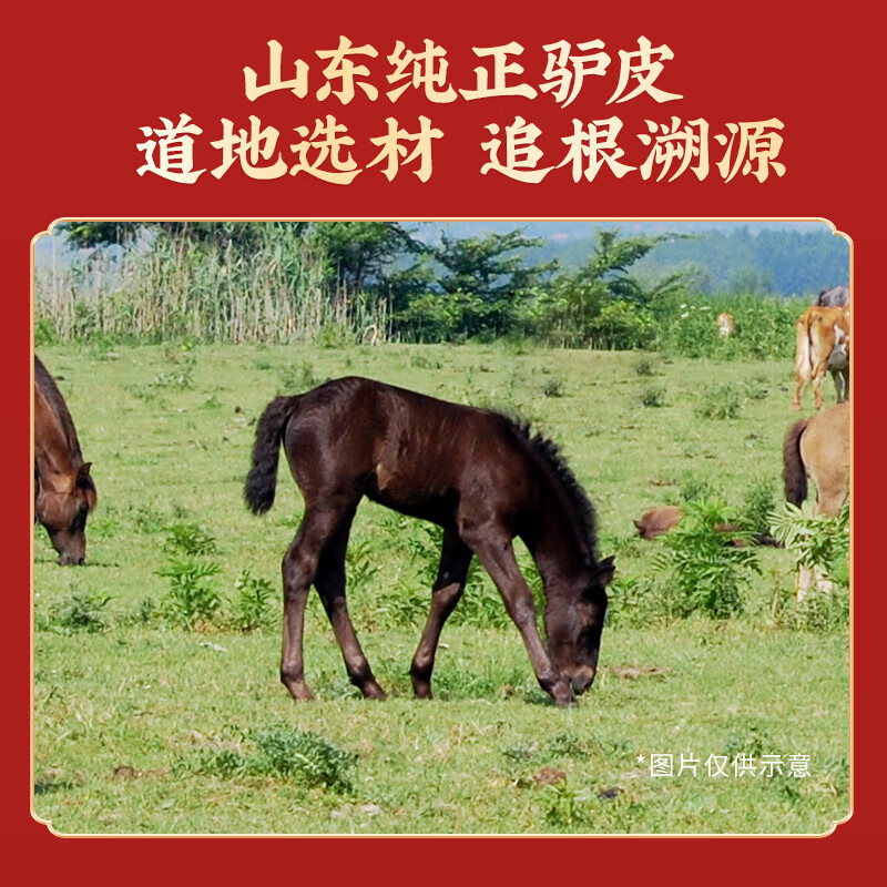 雷允上 阿胶珠 补血滋阴润燥止血 药典标准 山东道地选材 中药饮片级别 七夕节送礼送女友妈妈 【推荐购买】3盒装