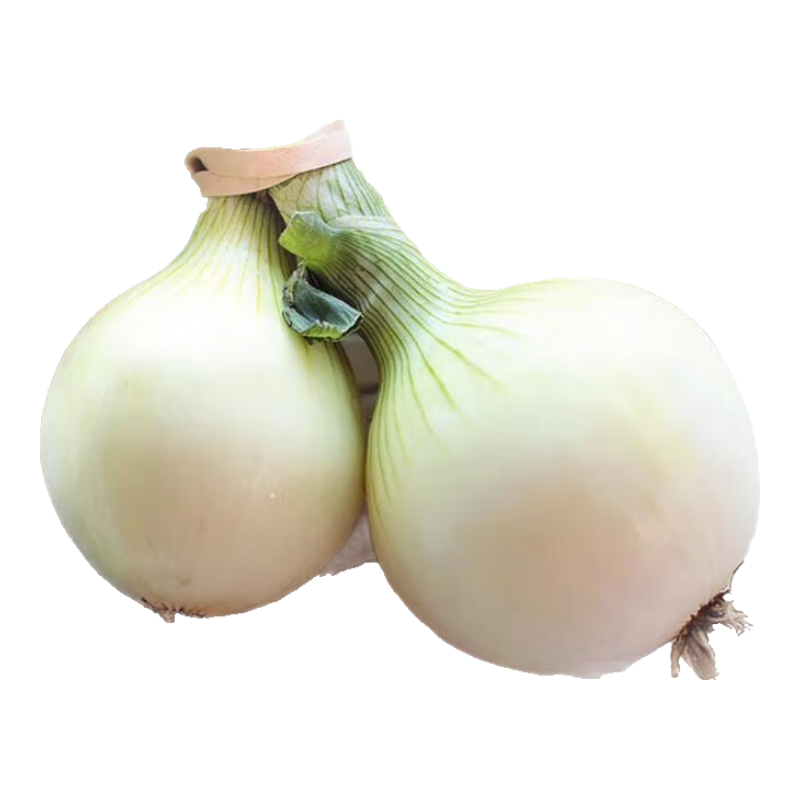 新鲜黄洋葱便宜大个葱头超市生鲜批发沙拉生甜直播间 黄洋葱 1斤