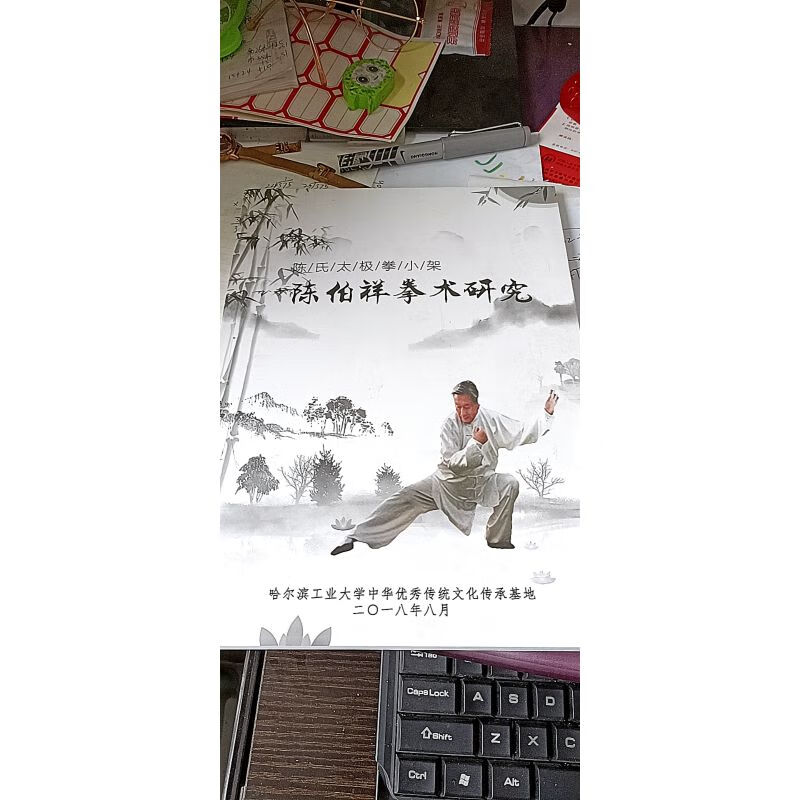 陈氏太极拳小架陈伯祥拳术研究2018年183页(书如图所示)