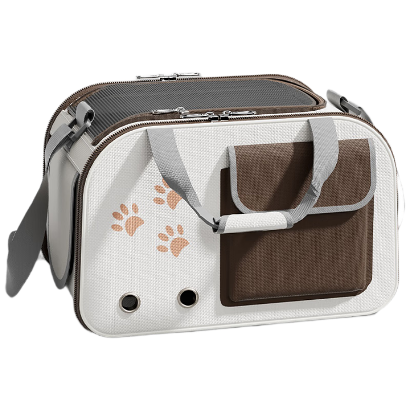 ���ڲ�����BNBNOè�������Я̫�ղճ�����������������б��è�䱳����Ӧ����