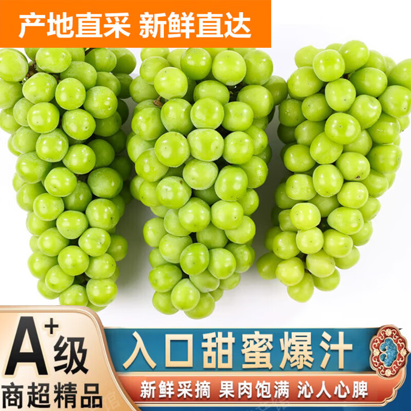 集年鲜阳光玫瑰晴王葡萄礼盒装新鲜应季香印提新鲜水果节日送礼 净重2斤礼盒 单果8-12g