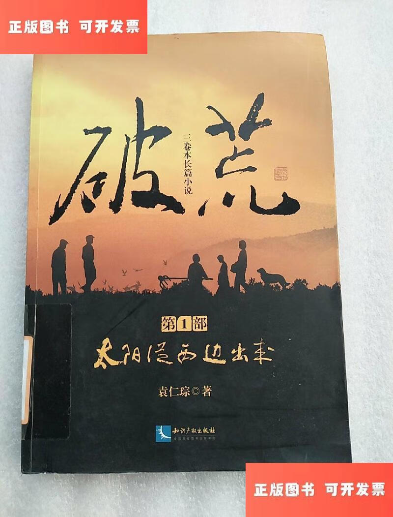 太阳从西边出来 /袁仁琮 知识产权出版社