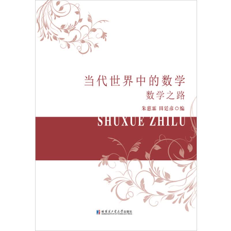 当代世界中的数学 数学之路