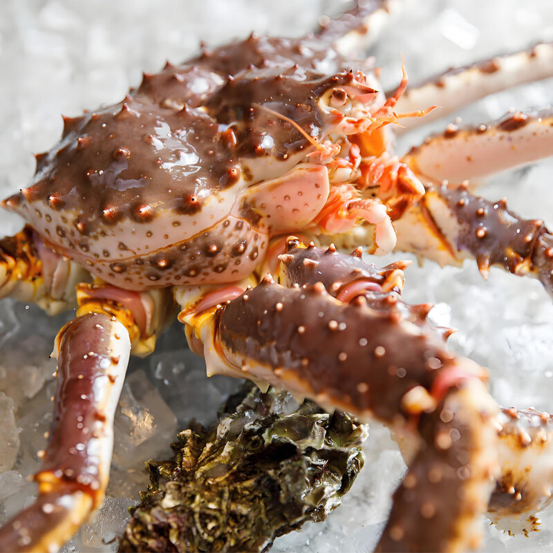 码头私语生冻鲜活帝王蟹5斤次日达生鲜海蟹帝皇蟹长脚蟹海鲜水产中秋礼物 7.5-8斤/只【送蚝王*2+辽参*1】