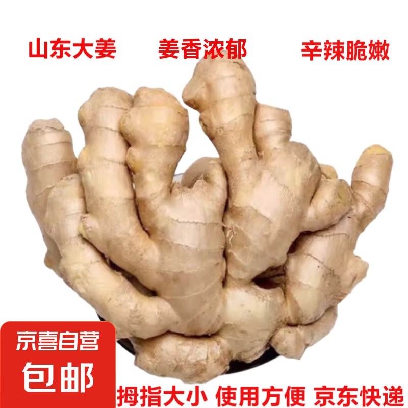 山东大姜自营水洗老姜块调料蔬菜牛肉三文鱼食材 山东老姜带箱 500g