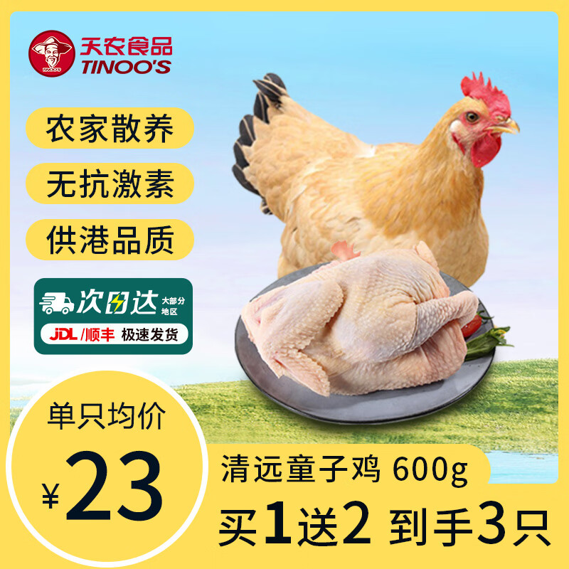 天农食品清远岭南童子鸡 新鲜无抗鸡肉整鸡 农家散养土鸡 清蒸烤鸡小嫩鸡