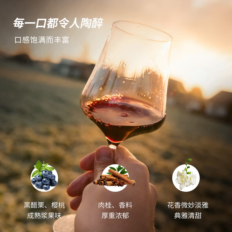 拉斐【官旗】法国原酒进口红酒拉斐庄园干红葡萄酒750ml 送礼年货 庄园窖藏双支装750mlX2瓶+手提袋