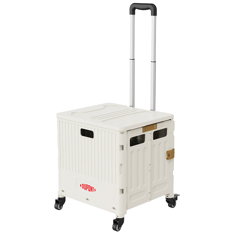 ڲŰDU PONTй۵ϳ¶Ӫ˳СƳ