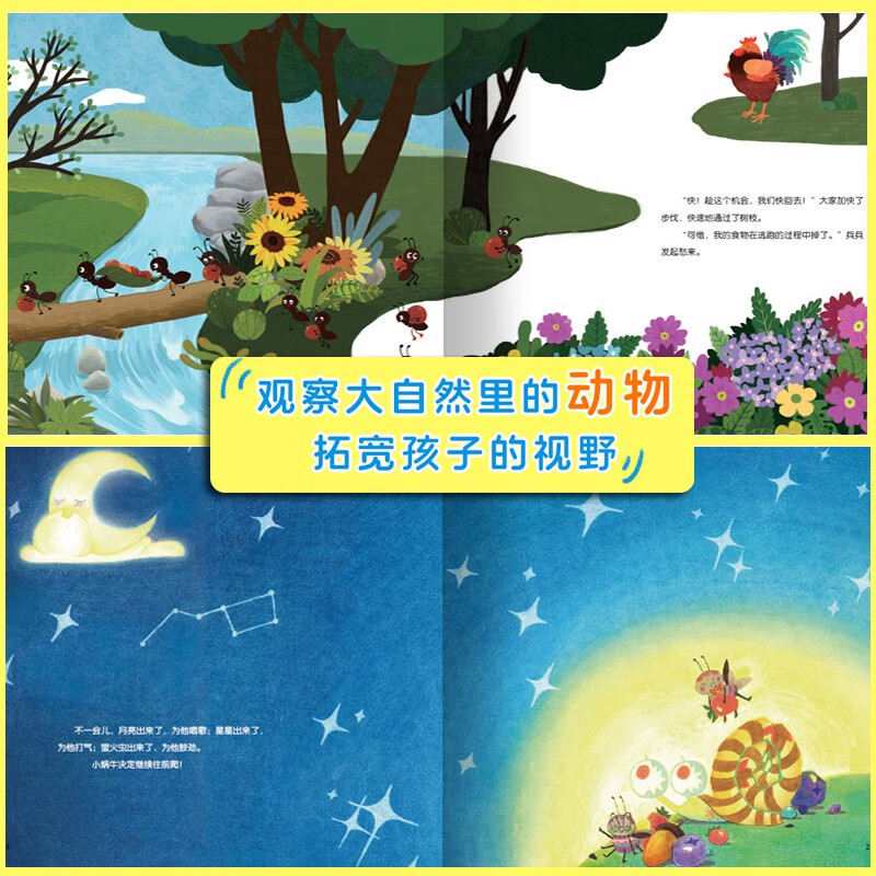 小果树精装孩子喜欢的大自然(全5册)精装硬壳硬皮幼儿园大自然科普绘本 3-6-8岁少儿童启蒙