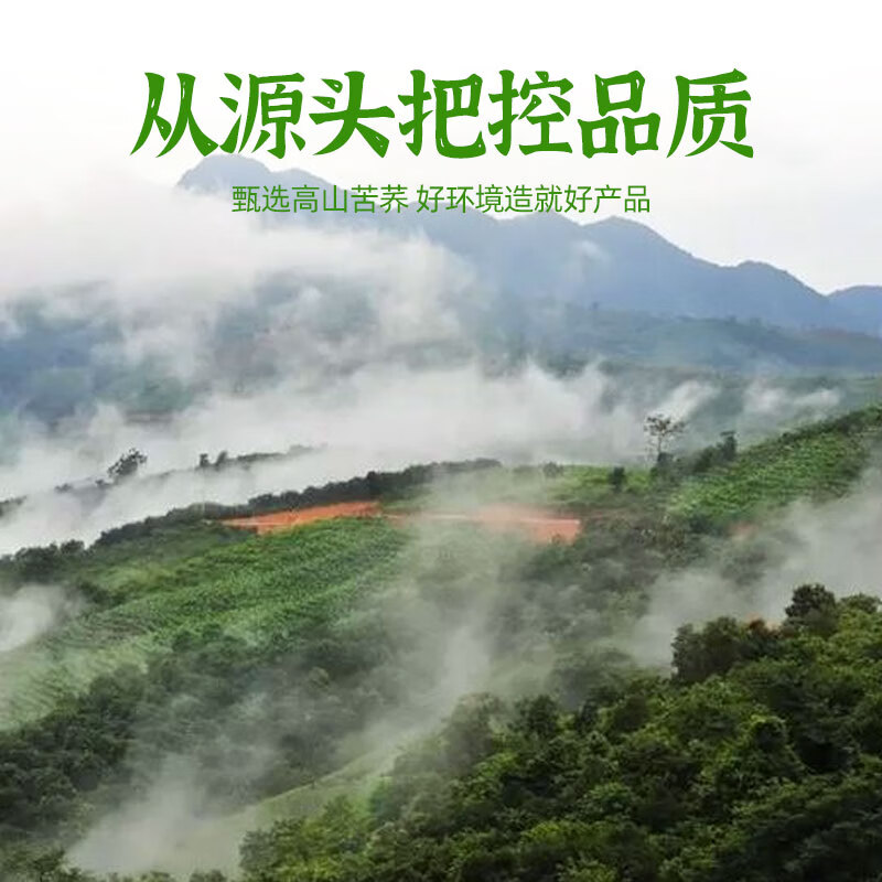 八百方黄苦荞茶四川大凉山大麦茶麦香型金荞麦茶浓香乔麦茶苦荞茶泡水 250g罐装【2罐】