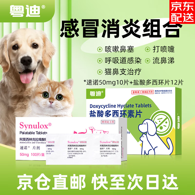 ��ŵ����Ƭè��֧���Ƹ�ðҩ���ﰢĪ���ֿ���ά��ؿ��Թ����������� ����ð��֧ ��������Ⱦ����ŵ50mg+��������JD 50mg*1��