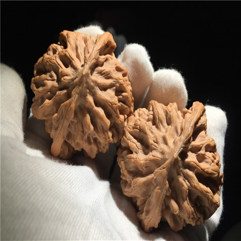 画喜文玩核桃野生小众稀缺秦岭狮子头四座楼麻核桃特大收藏级50mm