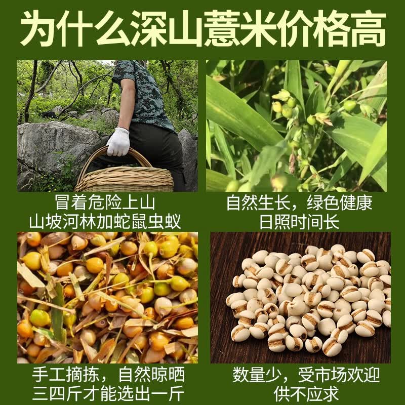 南京同仁堂薏苡仁干货可搭中药材泡水喝正宗薏苡仁炒熟新鲜正品 【南京同仁堂-官方正品】吃的放心 250g*1瓶 【1瓶/250g】精选饱满无硫薏苡仁