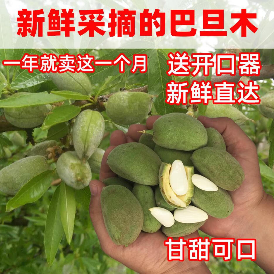 胖东来热卖 新鲜采摘青皮巴旦木大杏仁5斤当季新鲜2025年松鼠鲜果 薄壳2斤送开口器