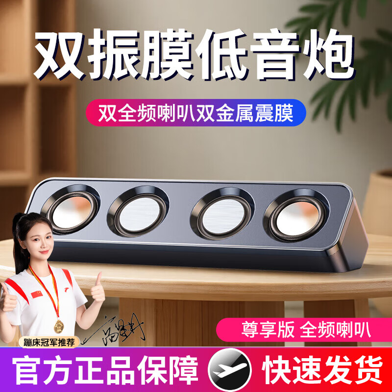 赛达电脑音响台式小型桌面迷你有线有源USB音箱家用笔记本外接双喇叭高音质低音炮游戏电竞扩音器 曜石黑尊享【四核全频喇叭+震膜