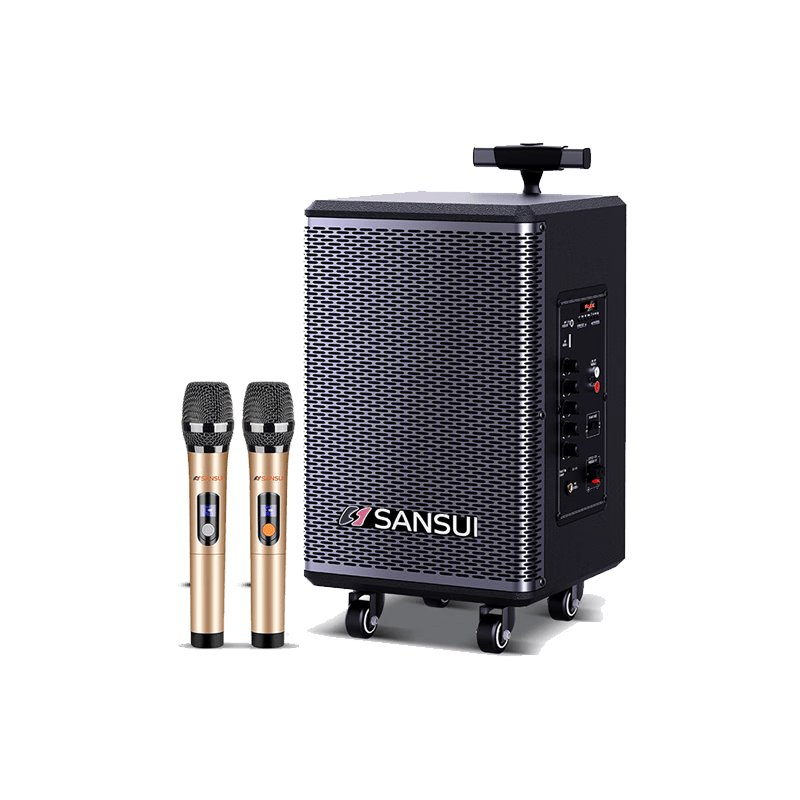 山水（SANSUI）廣場舞智能音響8英寸低音炮移動戶外K歌拉桿音箱無線麥克風(fēng)攤擺喇叭TE06電木吉他民謠樂器音箱