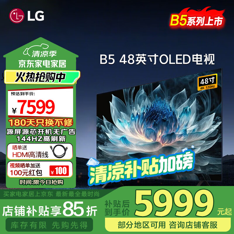 LG LG48/55/65/77/83英寸OLED游戏电视B5系列4K超高清超薄全面屏电竞游戏120HZ高刷画芯片【预购】 48英寸 OLED48B5PCA