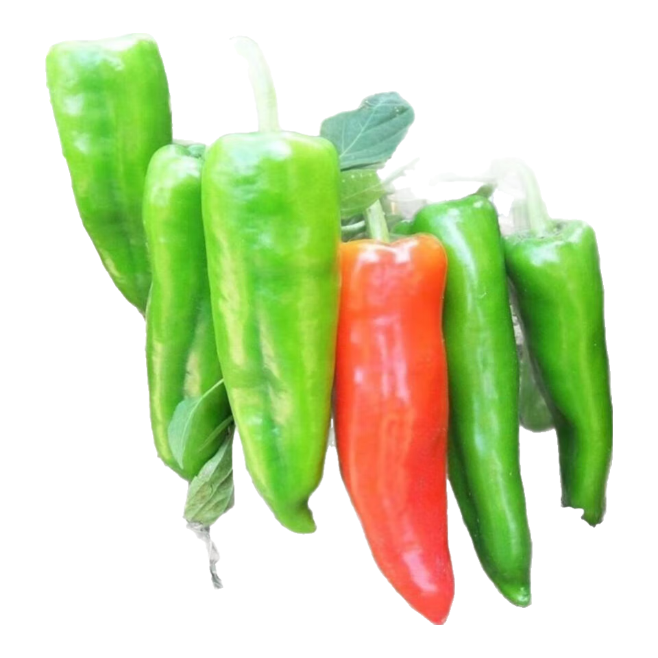 �ش�ţ�ǽ����� ����ཷ ��̨ͥԺ��������΢���߲��߲������ļ� ţ�ǽ����� 1��Լ300��