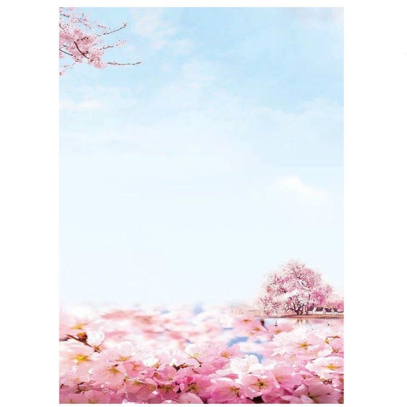 100张彩色信纸a4打印纸书写纸花纹带图案信纸卡通信签纸 2号(100张)